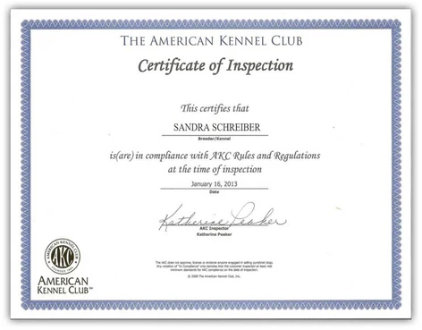 AKC Cavalier King Charles Breeder